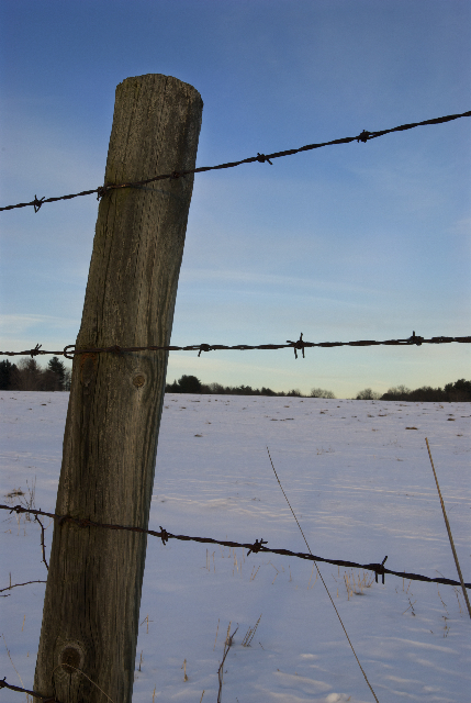 chain link